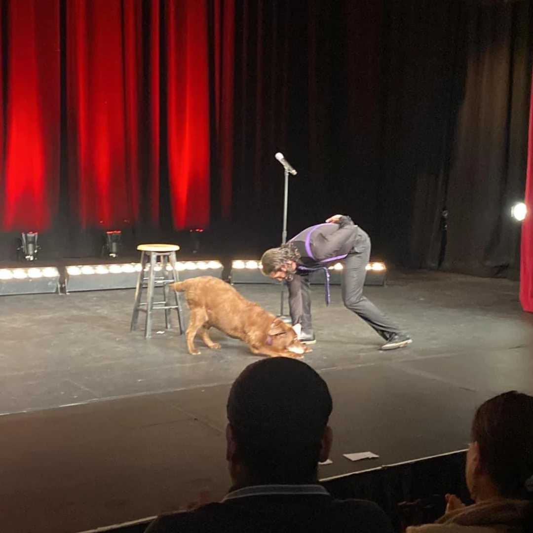 A comedian and a dog bowing on stage